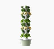 Turn aeroponic pe 9 niveluri pentru 36 de plante