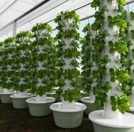 Turn aeroponic pe 9 niveluri pentru 36 de plante