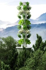 Turn aeroponic pe 9 niveluri pentru 36 de plante